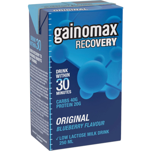 Gainomax Recovery Drink Blueberry
