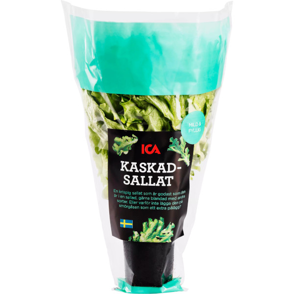 ICA Kaskadsallat