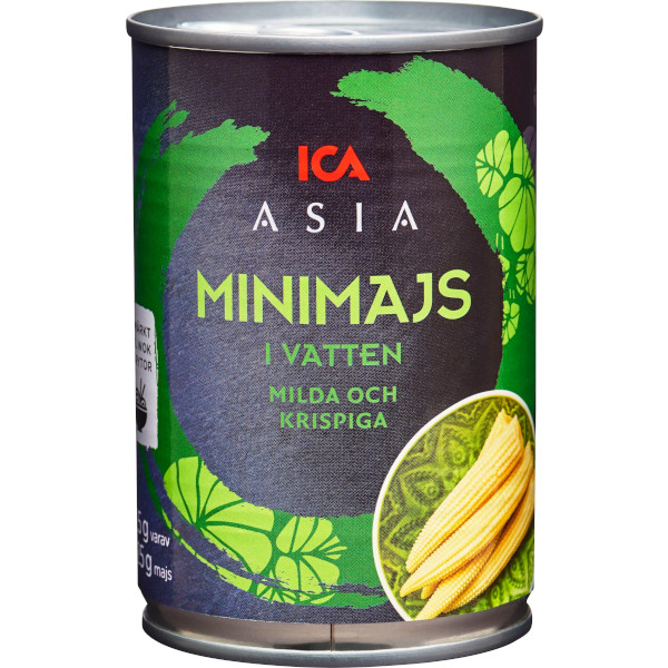 ICA Asia Minimajs