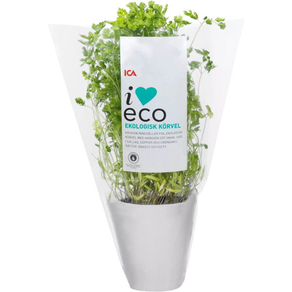 ICA I Love Eco Körvel Ekologisk