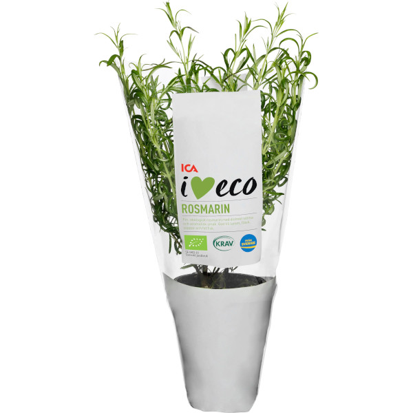 ICA I Love Eco Rosmarin Ekologisk