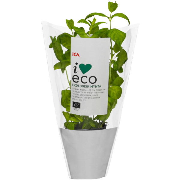 ICA I Love Eco Mynta Ekologisk