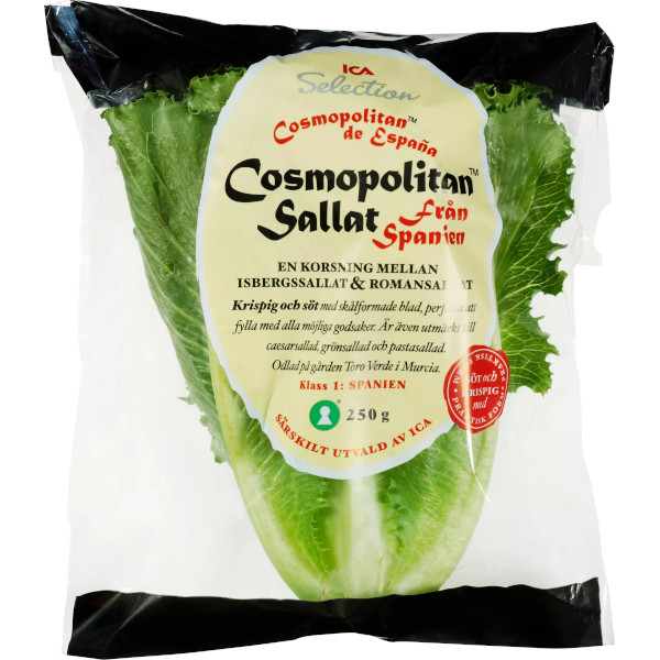 ICA Cosmopolitansallat
