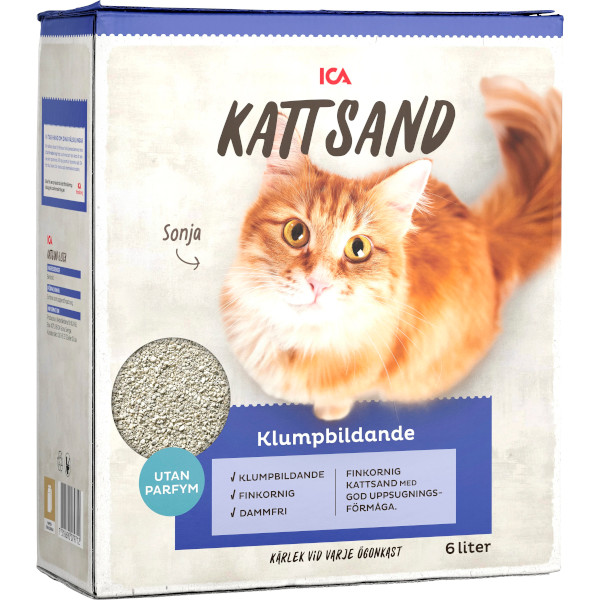 ICA Kattsand