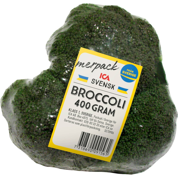ICA Broccoli