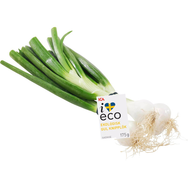 ICA I Love Eco Knipplök Gul Ekologisk