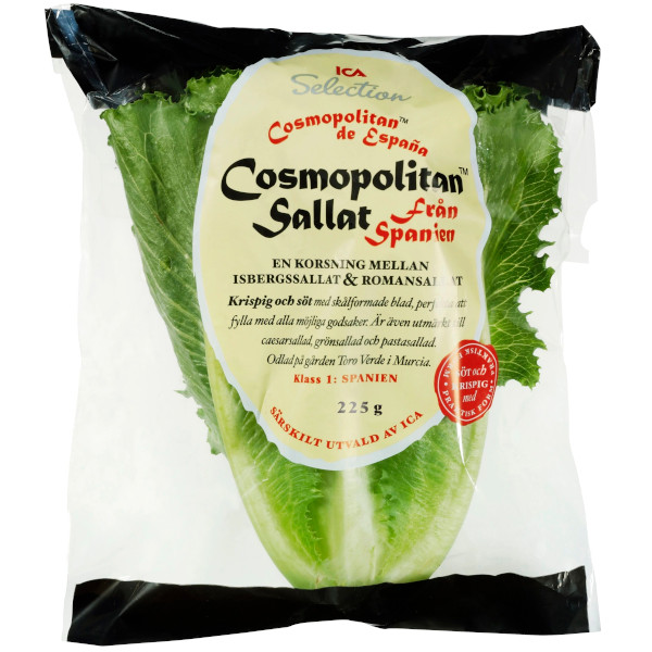 ICA Selection Cosmopolitan Sallat