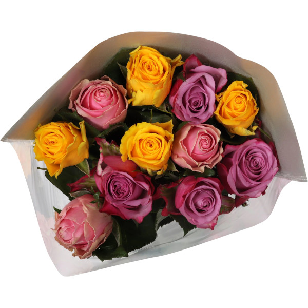 ICA Rosor Fairtrade 50cm Blandad Bukett