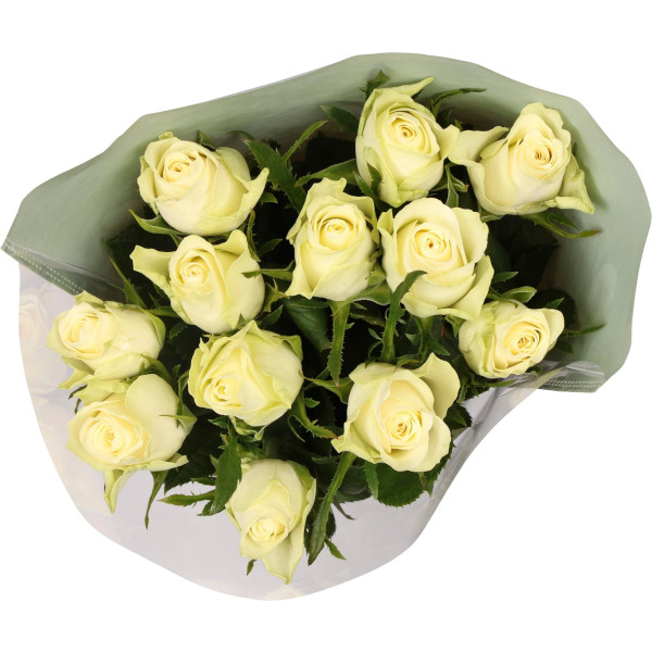 ICA Rosor 50cm Fairtrade Vita