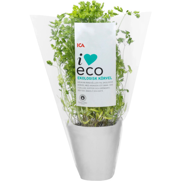 ICA I Love Eco Körvel Ekologisk