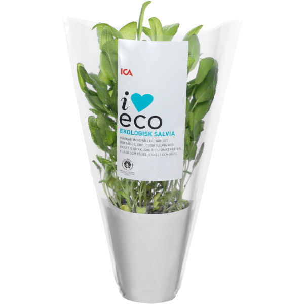 ICA I Love Eco Salvia Ekologisk