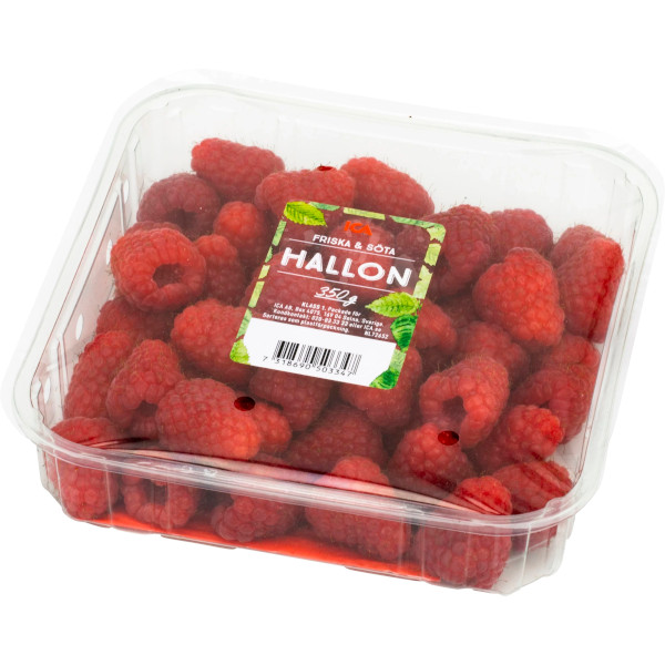 ICA Hallon