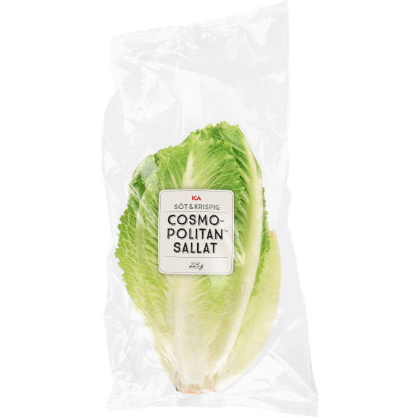 ICA Cosmopolitansallat