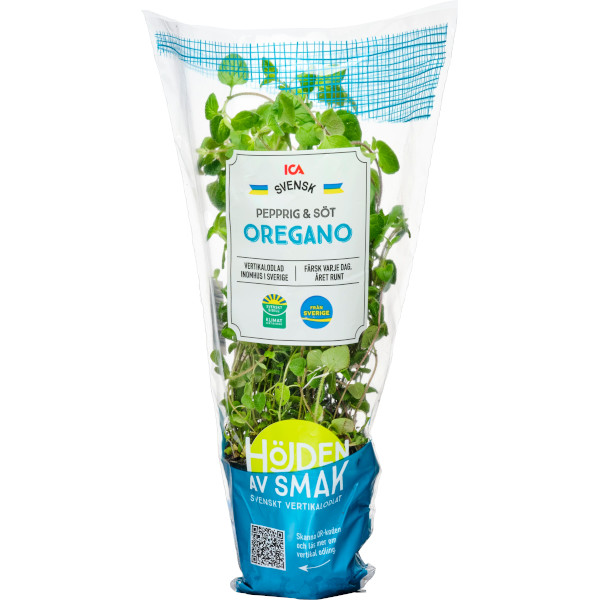 ICA Oregano