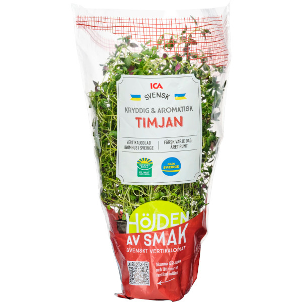 ICA Timjan