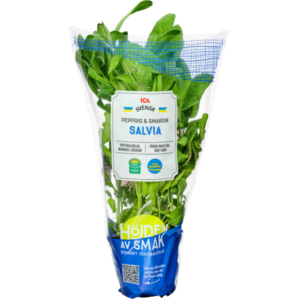 ICA Salvia